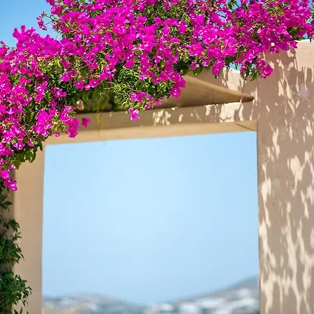 Anthippi (adults Only)