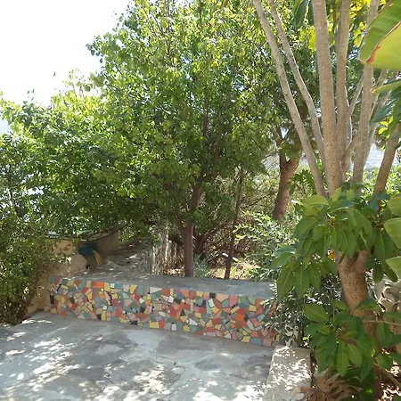 ανθίππη 3*