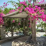 Anthippi (adults Only) 3*