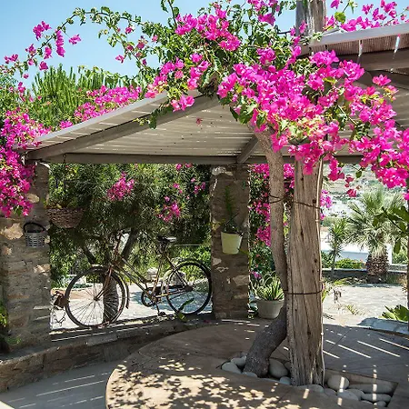 Anthippi (adults Only) 3*